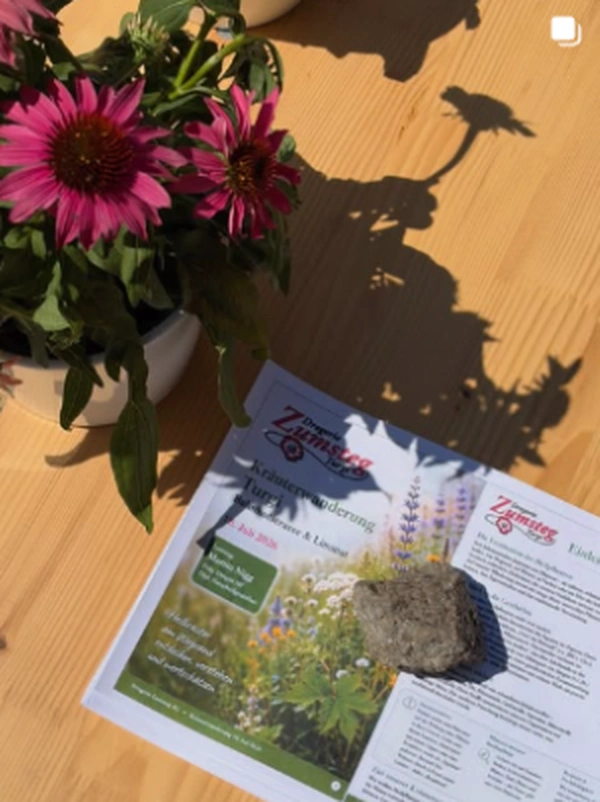Kräuterwanderung mit Martin Nigg & Sonnenhut / Echinacea